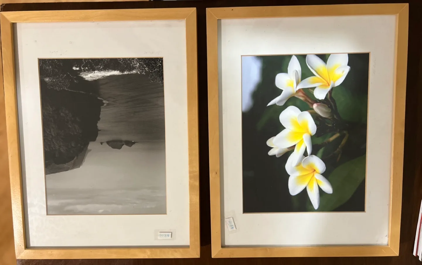 Framed Art Prints - Beach & Floral thumbnail