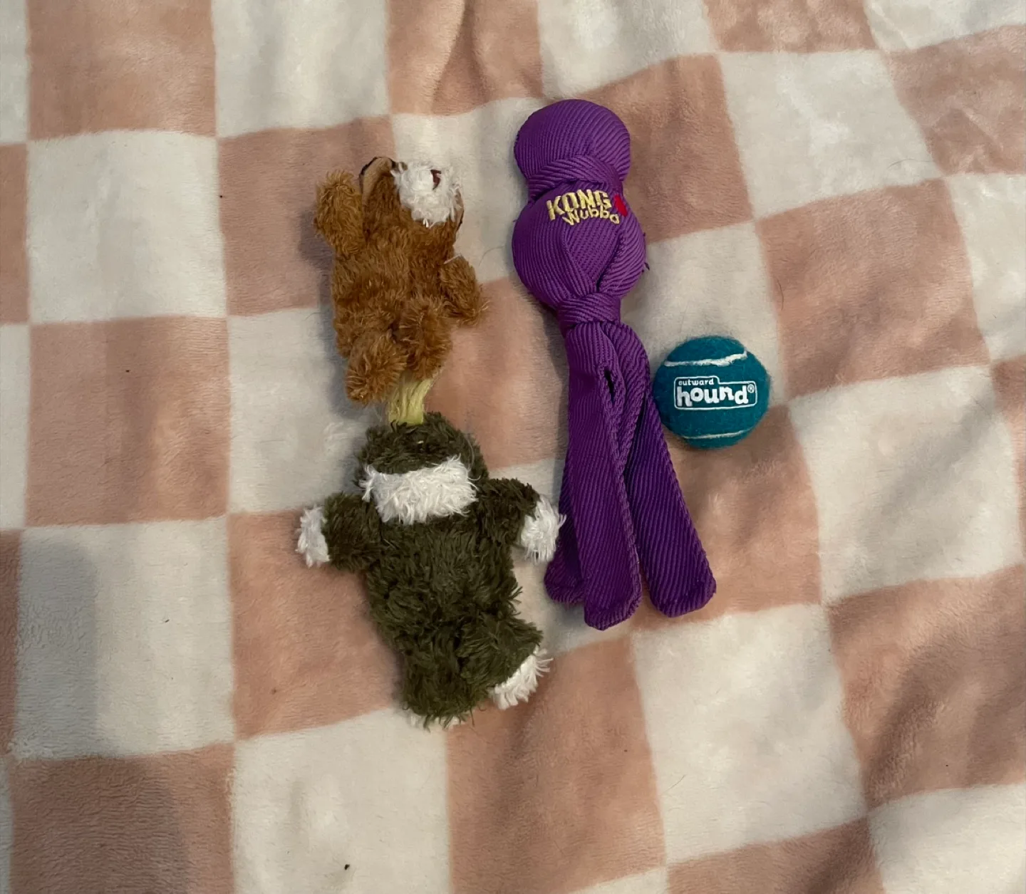 XS Dog/Puppy Kong Toys thumbnail