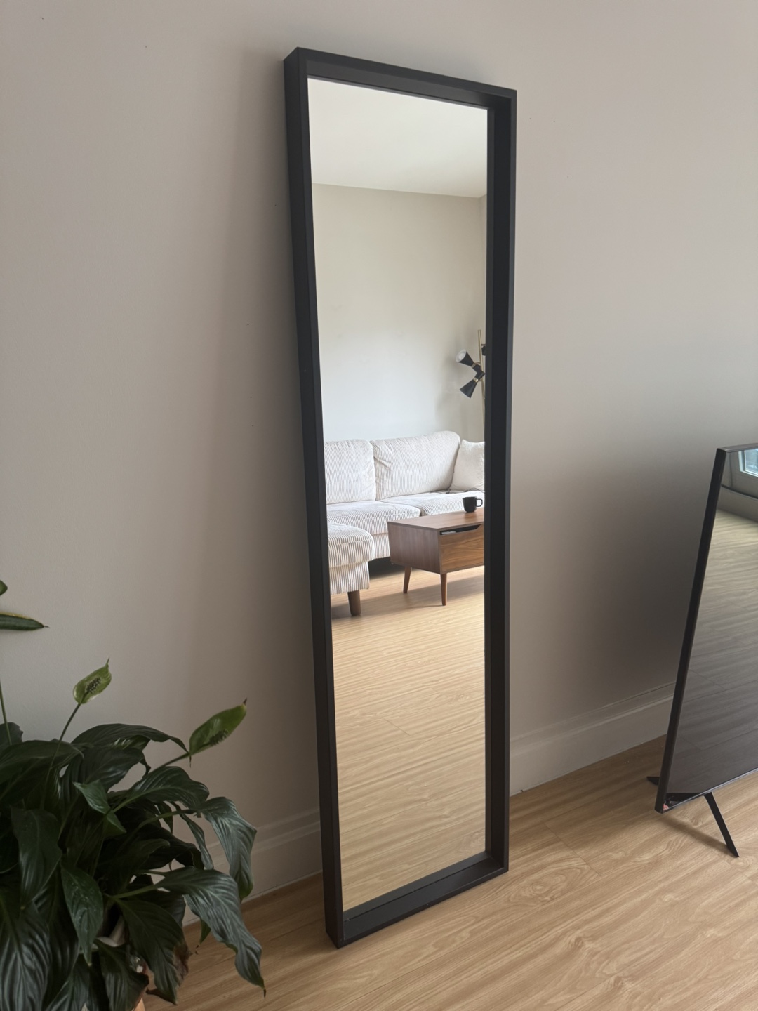 Black Framed Full Length Mirror