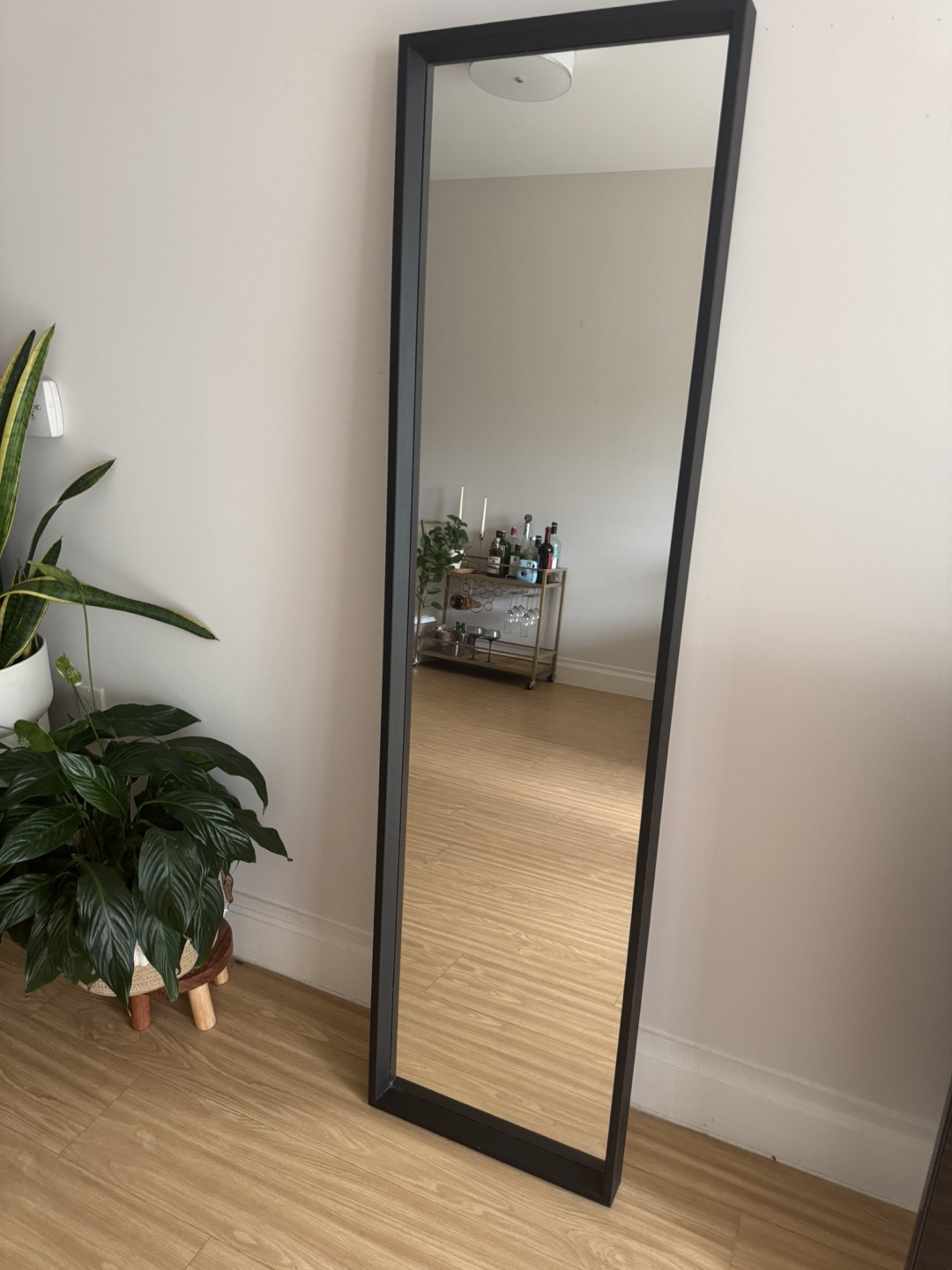 Black Framed Full Length Mirror - photo 2