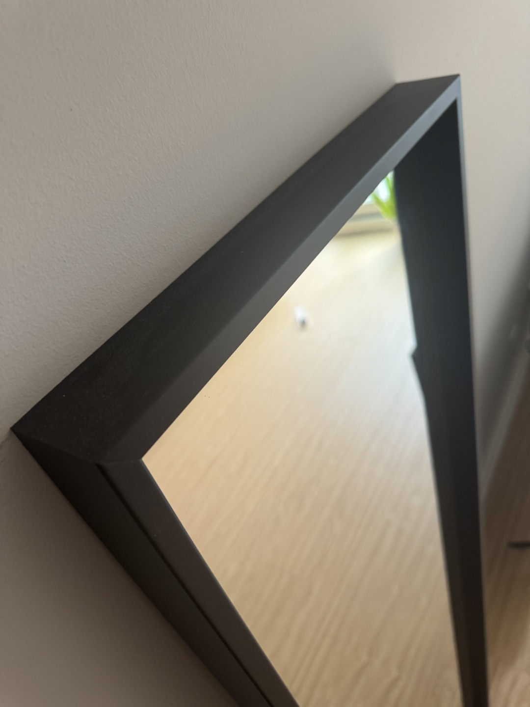 Black Framed Full Length Mirror - photo 3