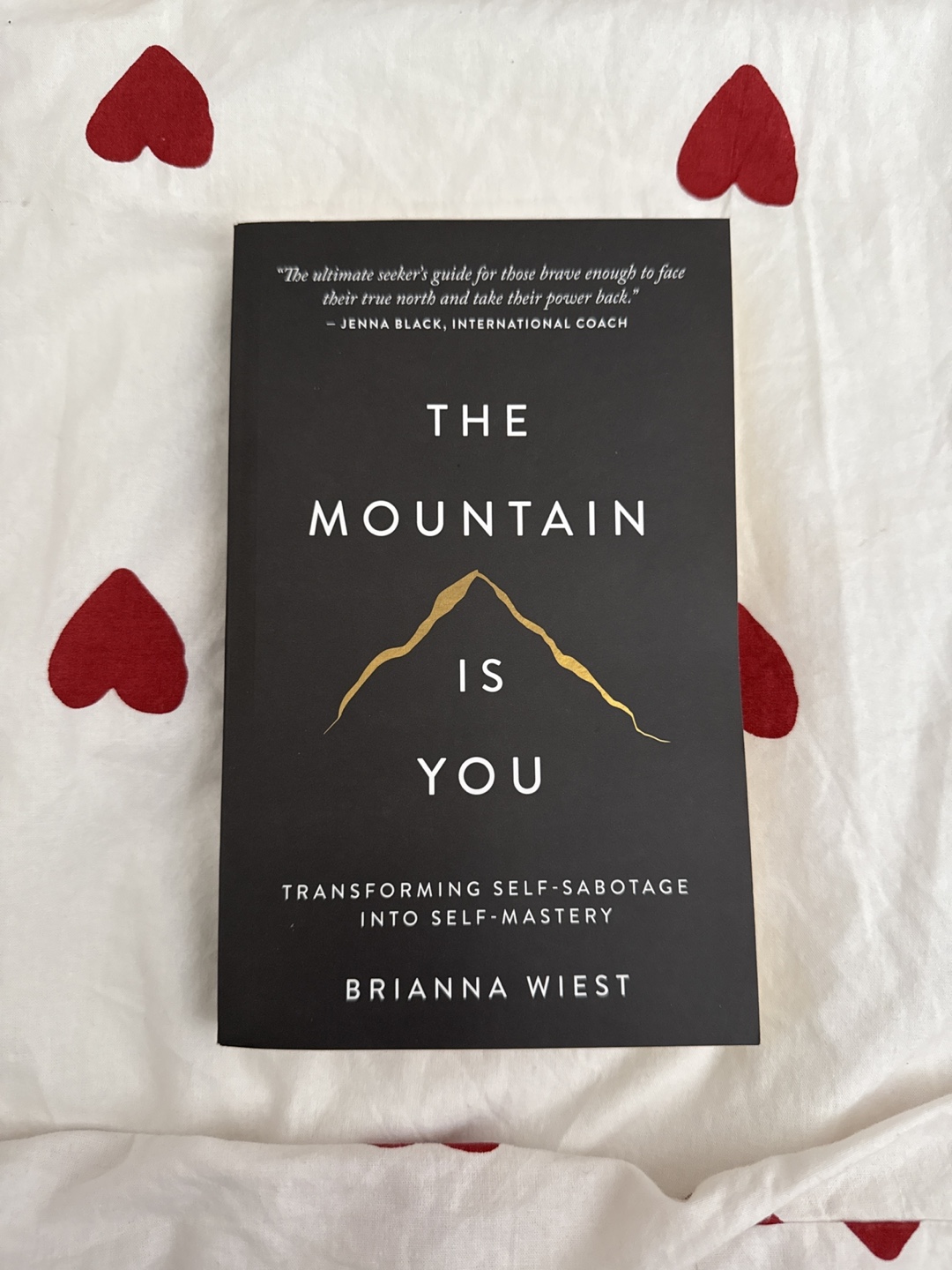 The Mountain Is You by Brianna Wiest