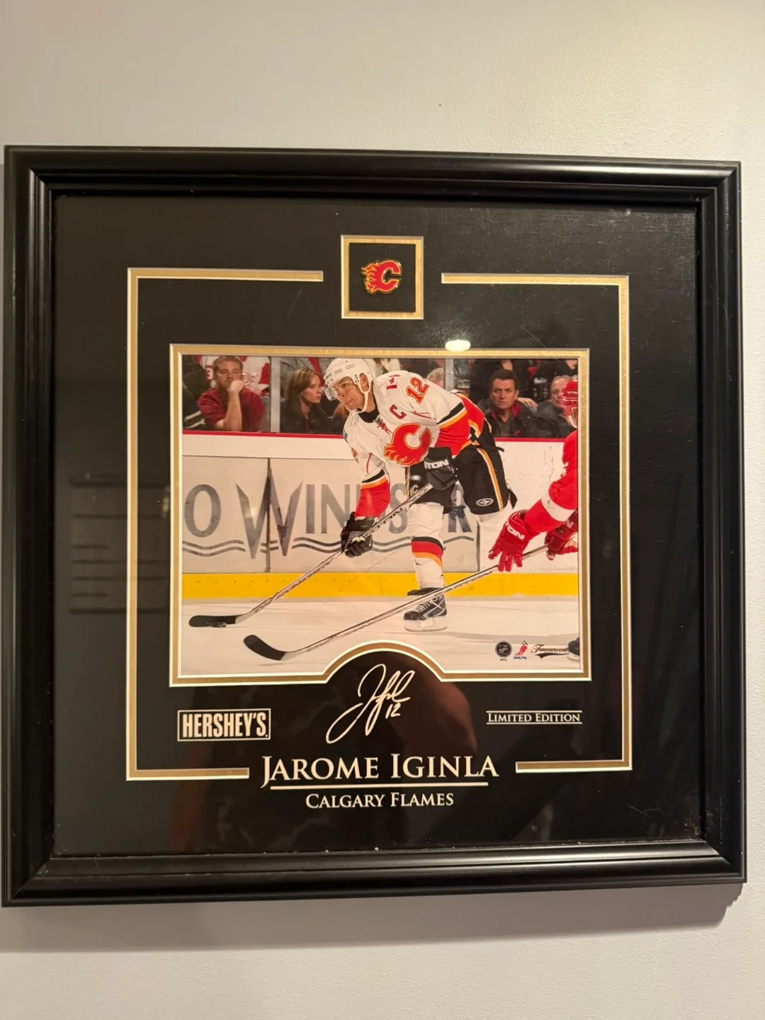 Jarome Iginla Calgary Flames Framed Picture thumbnail