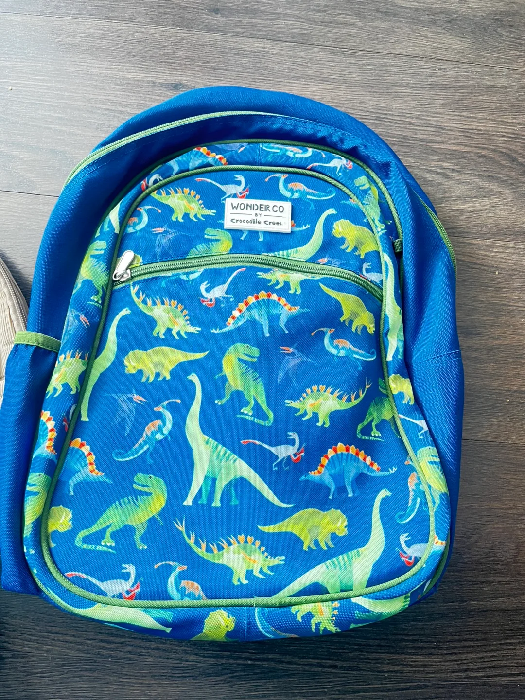 Dinosaur Backpack thumbnail