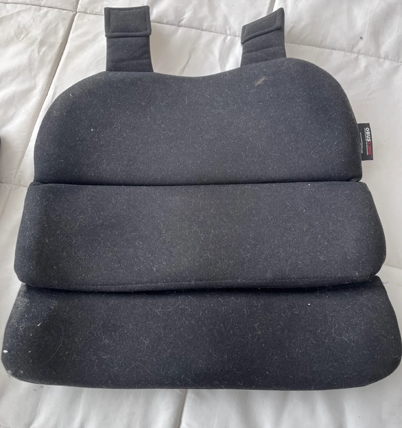 Opus One Forme Lumbar Support - Black thumbnail