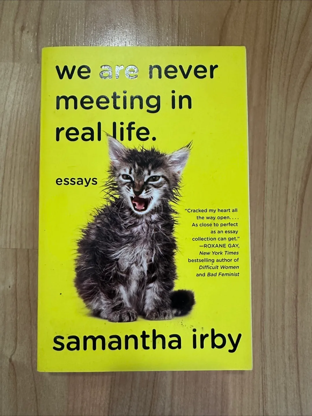 We Are Never Meeting in Real Life by Samantha Irby thumbnail