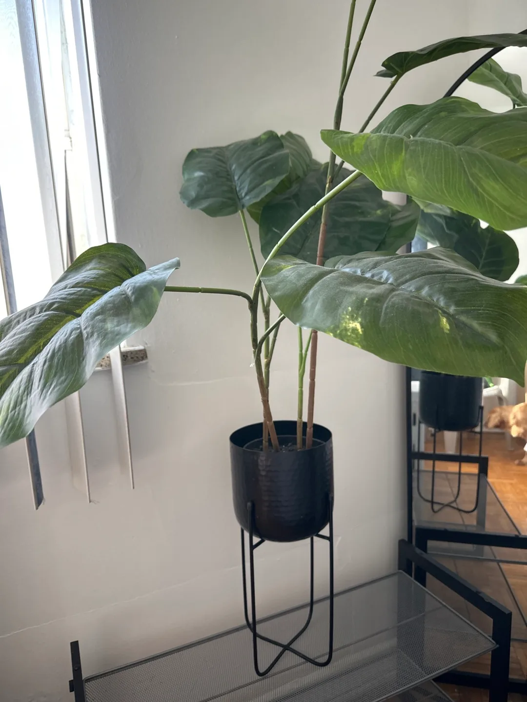 Faux Potted Plant with Stand thumbnail