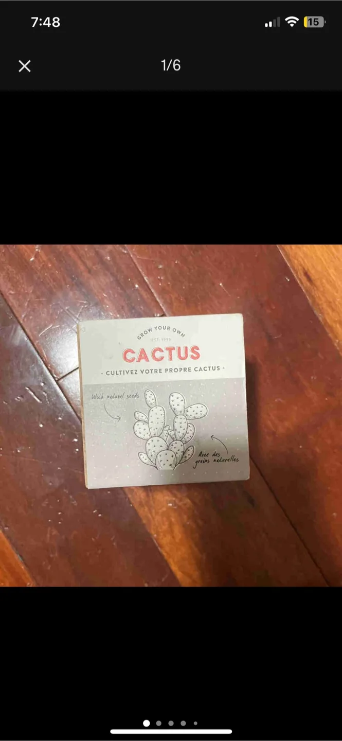 Indigo Ecocube Cactus Grow Kit thumbnail