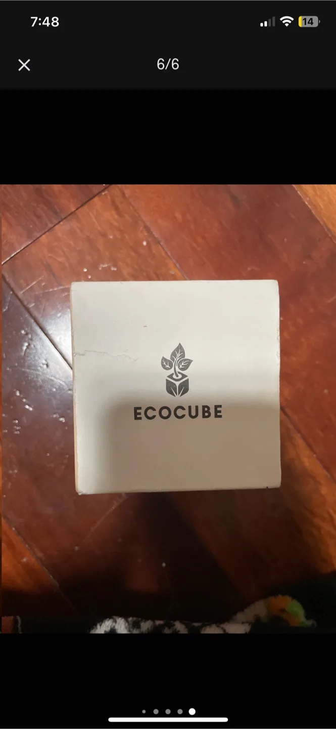 Indigo Ecocube Cactus Grow Kit image indicator(6)