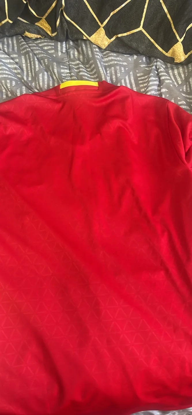 Adidas Spain Soccer Jersey image indicator(2)