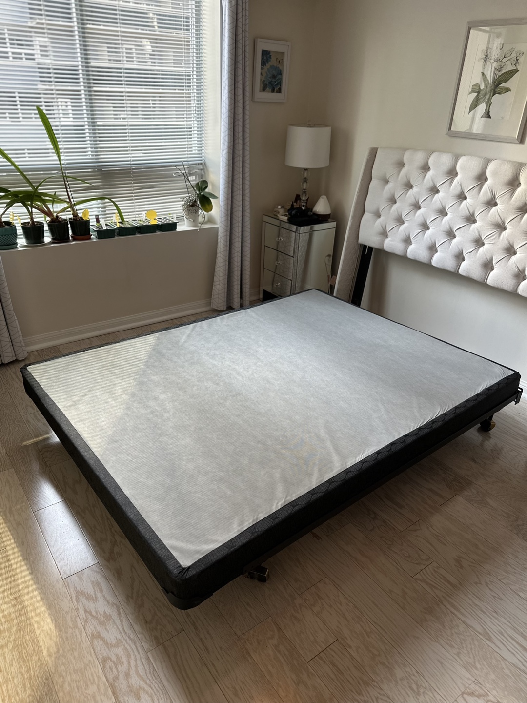 Queen Size Bed Frame and Box spring