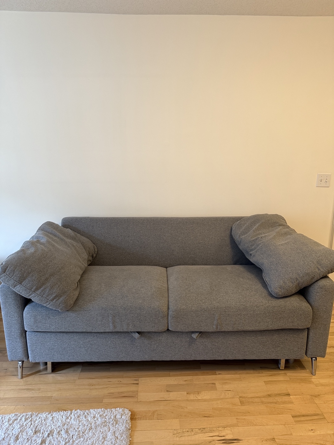 Sleeper Sofa - photo 2