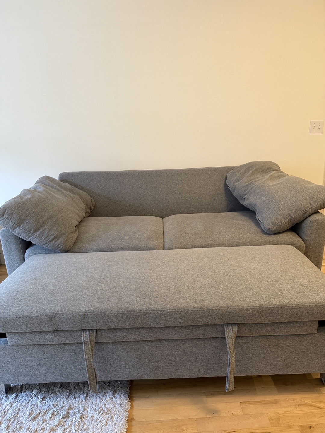 Sleeper Sofa