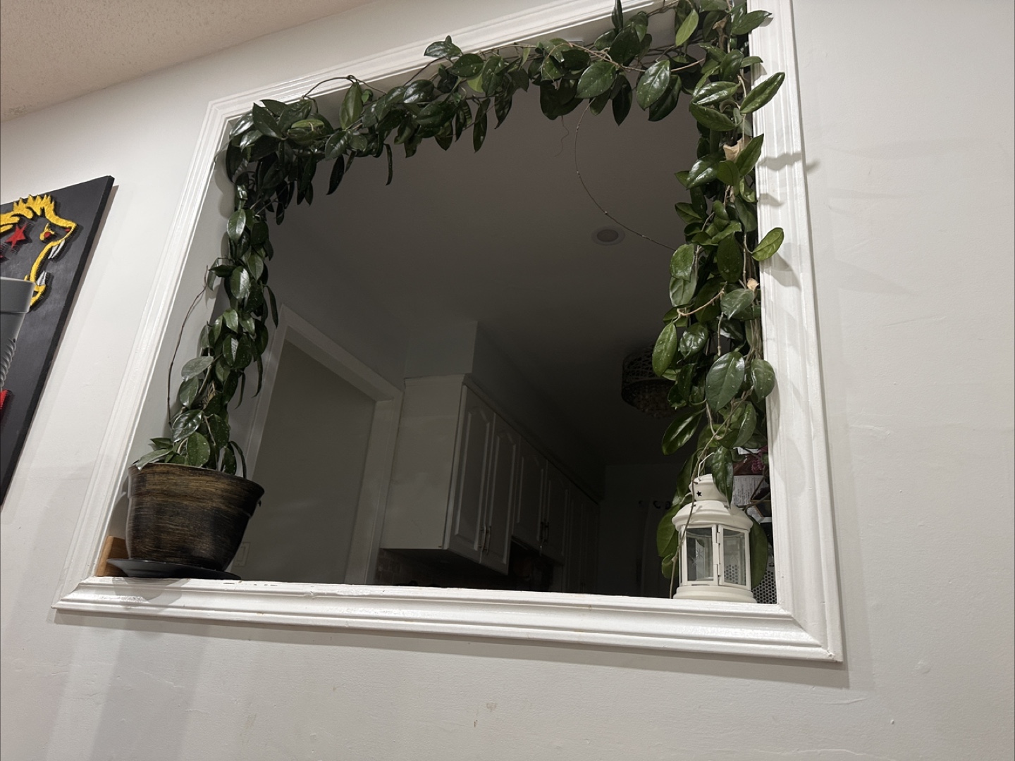Free Potted Indoor Plants