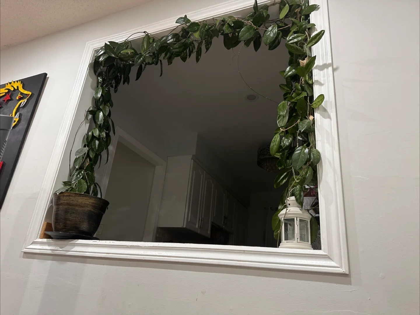 Free Potted Indoor Plants thumbnail