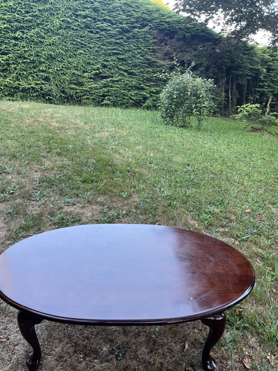 Oval Wooden Coffee Table