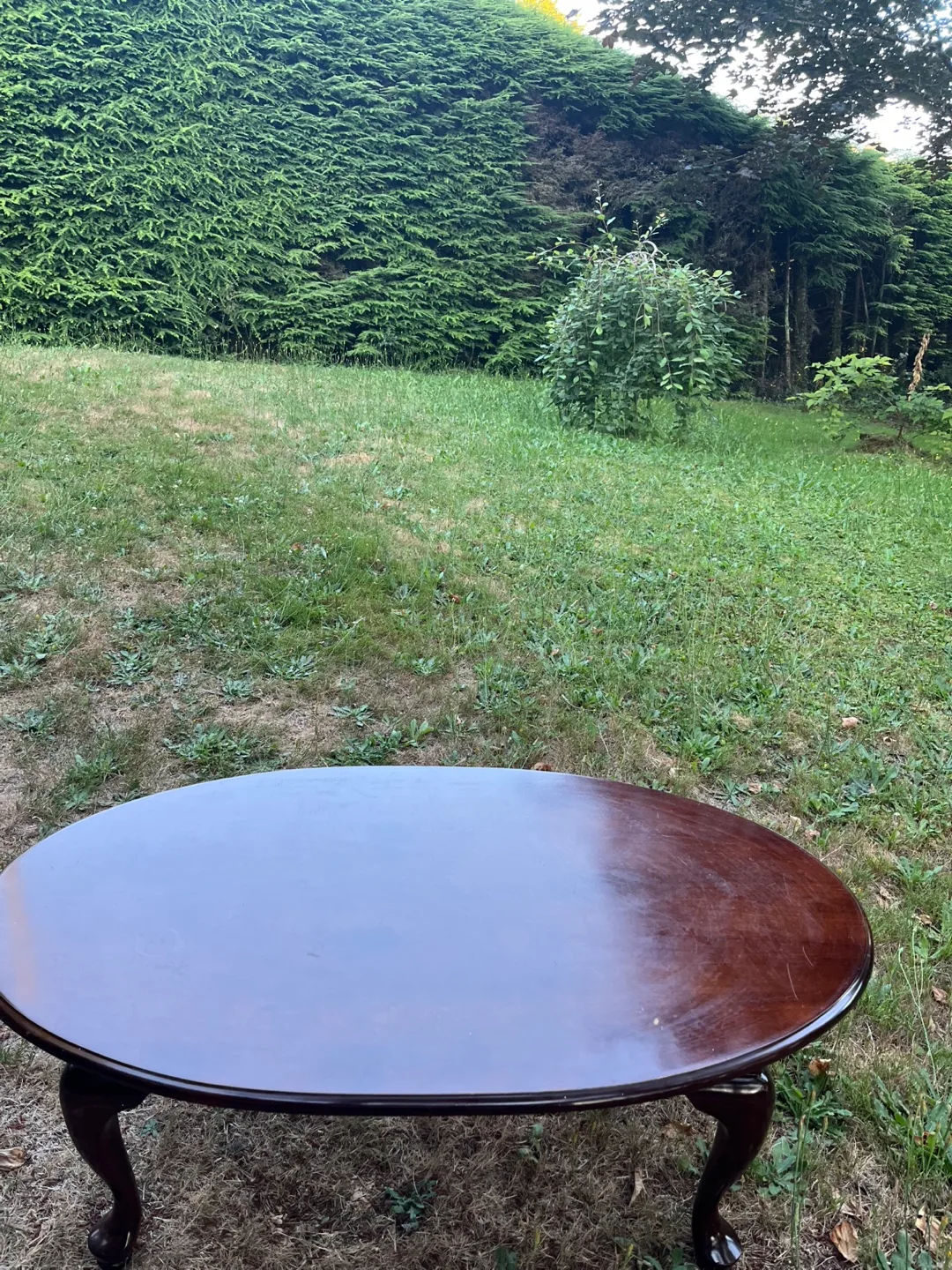 Oval Wooden Coffee Table thumbnail