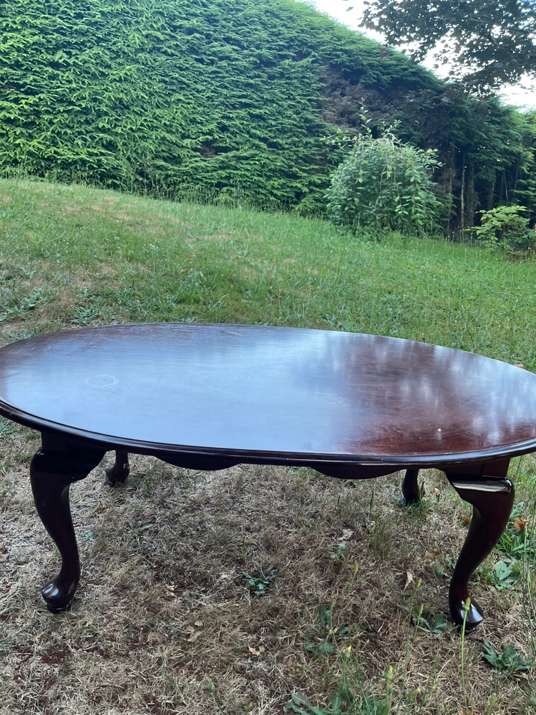 Oval Wooden Coffee Table image indicator(2)