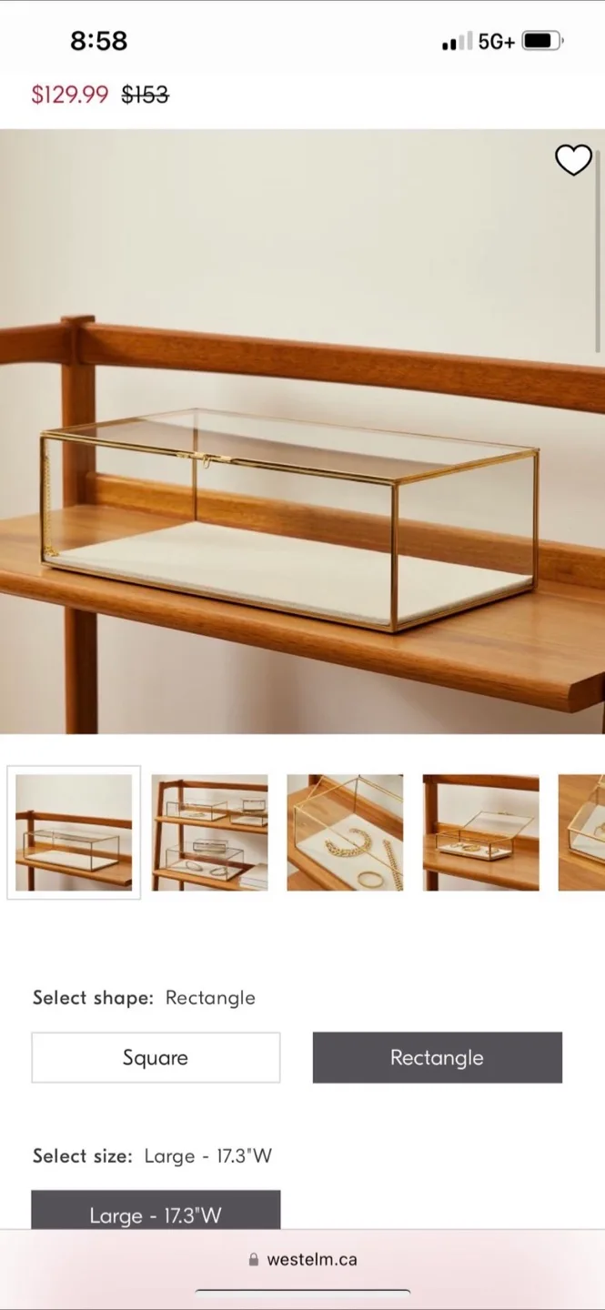 West Elm Rectangle Glass Shadow Box - Large