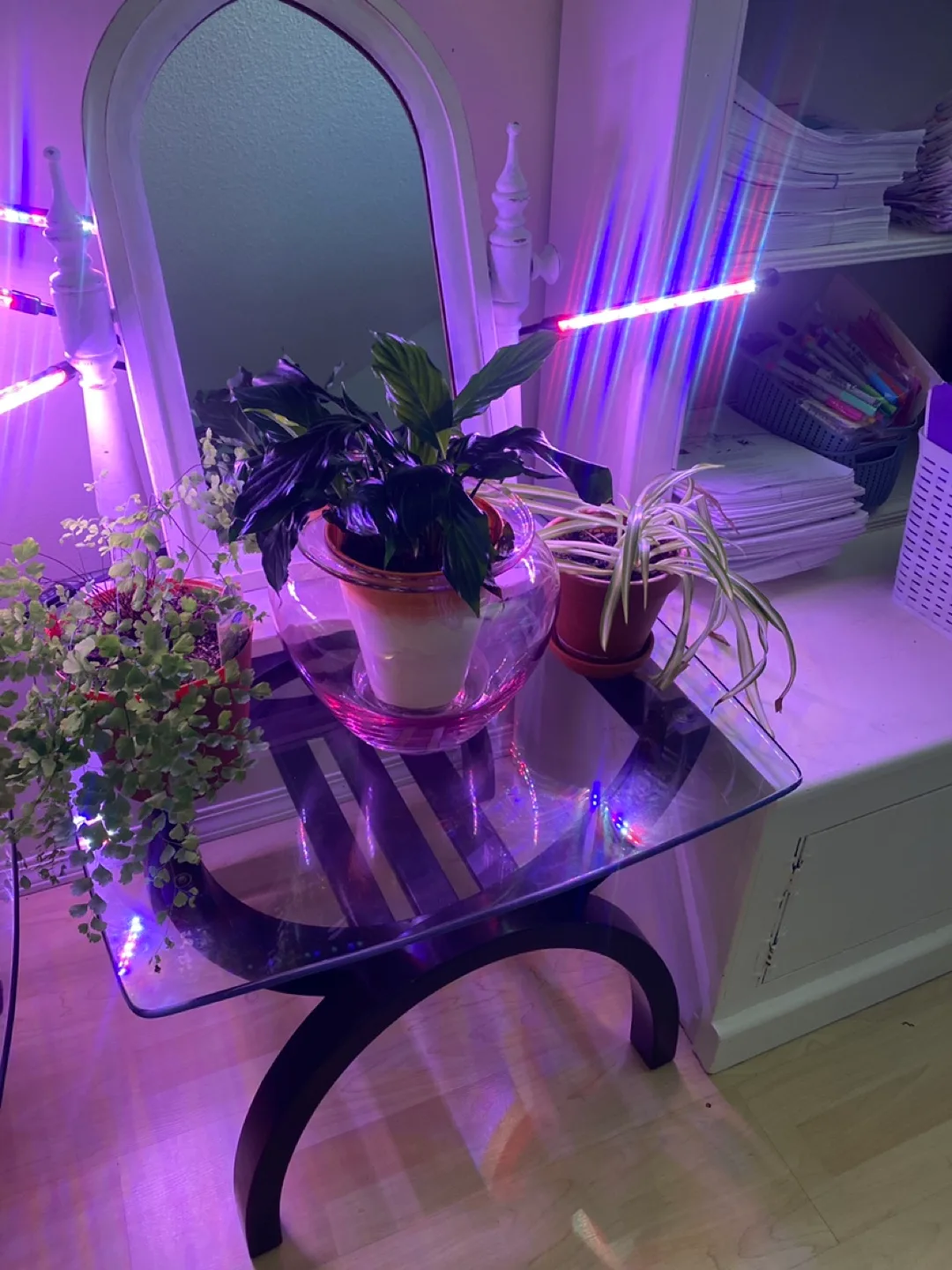 Purple Glass Vase - Made in Poland image indicator(5)