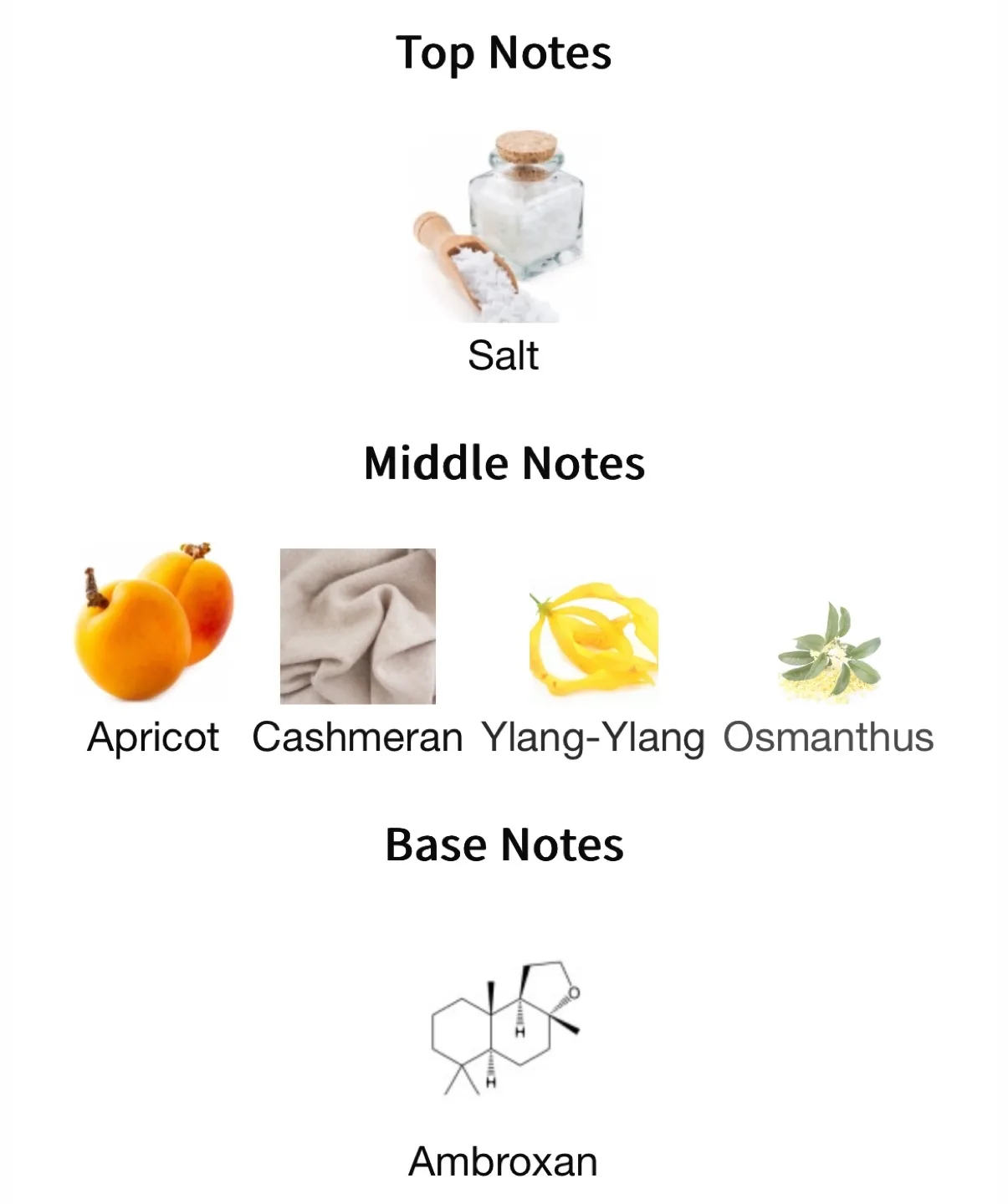 Glossier You Fleur DECANTS image indicator(3)