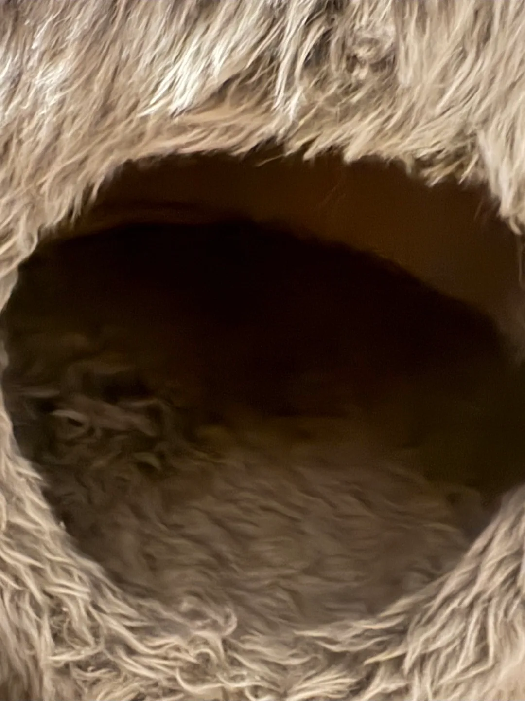 Fuzzy Grey Cat Condo image indicator(4)