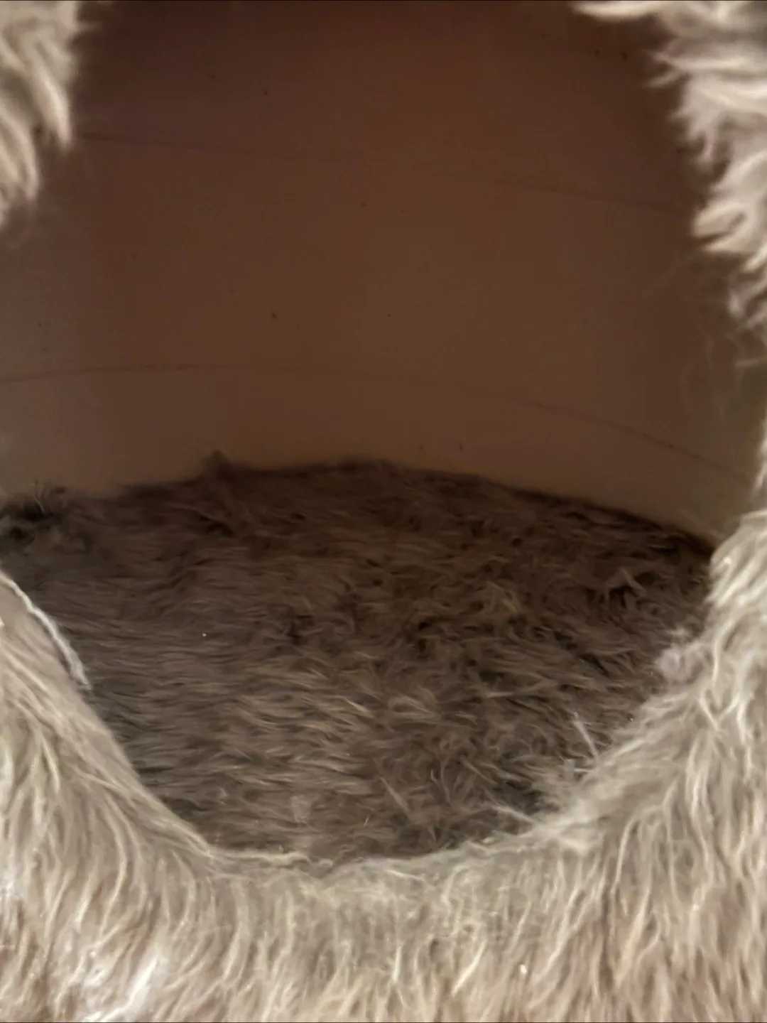 Fuzzy Grey Cat Condo image indicator(3)