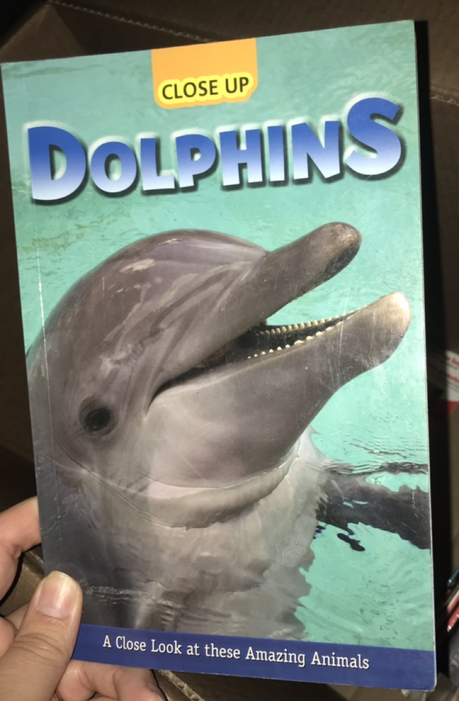 Close Up Sharks, Dolphins, Whales, Tricks and Traps Books - photo 2