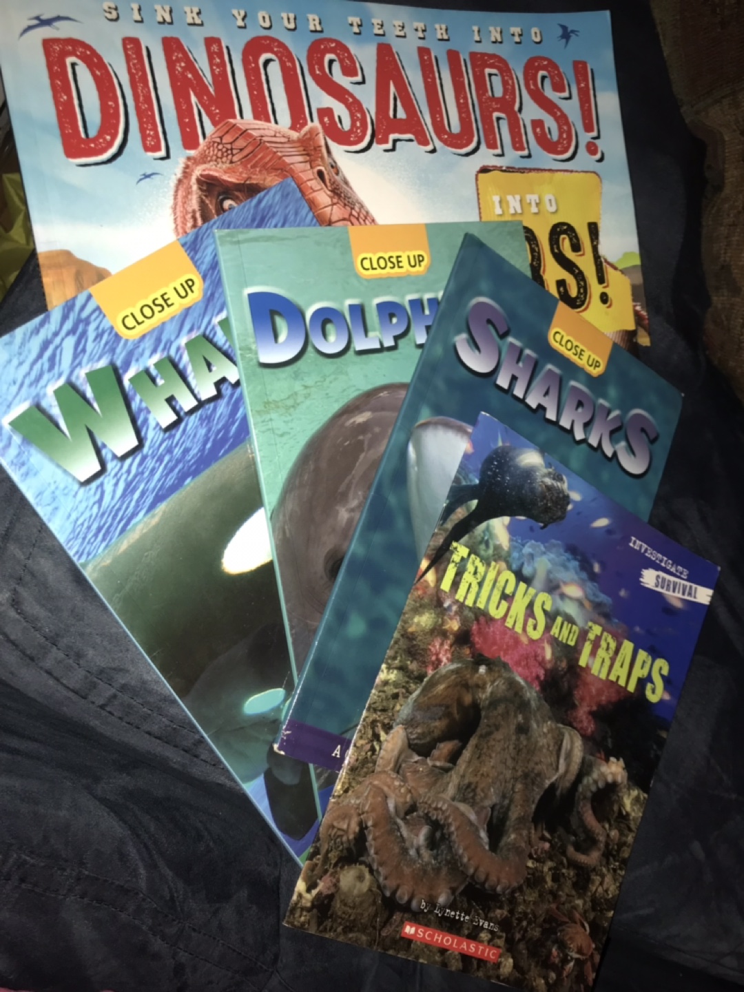 Close Up Sharks, Dolphins, Whales, Tricks and Traps Books