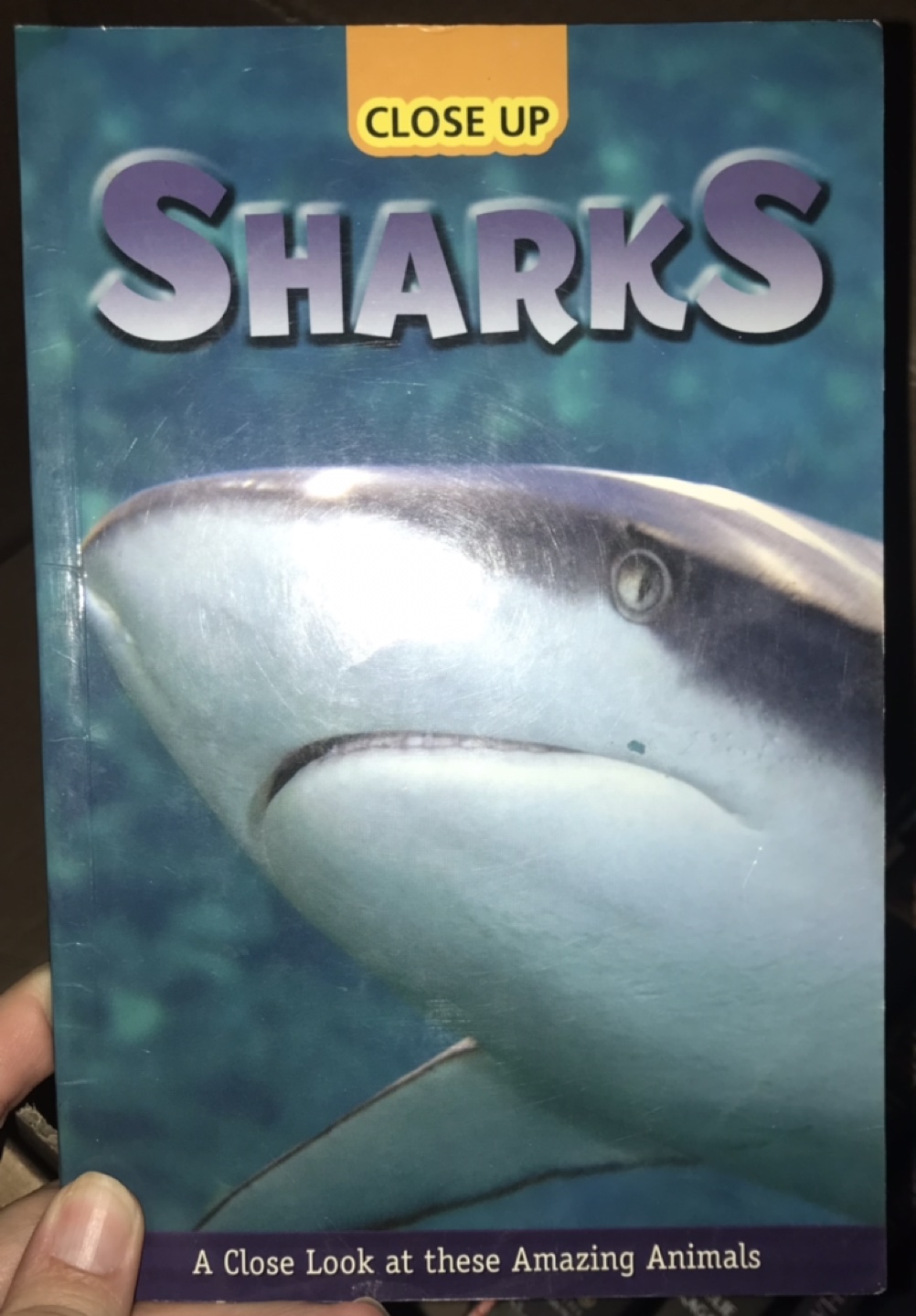 Close Up Sharks, Dolphins, Whales, Tricks and Traps Books - photo 3