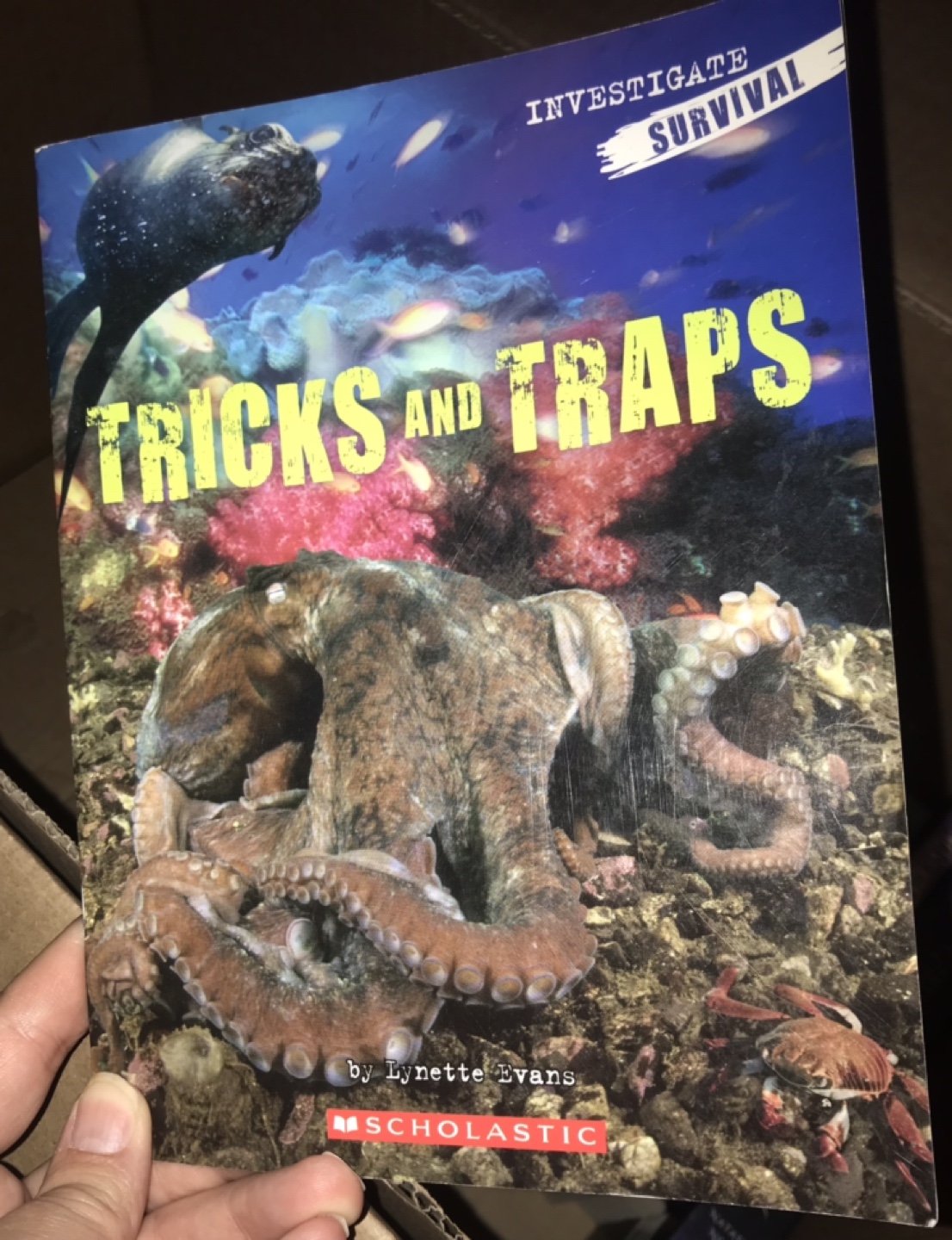 Close Up Sharks, Dolphins, Whales, Tricks and Traps Books - photo 5
