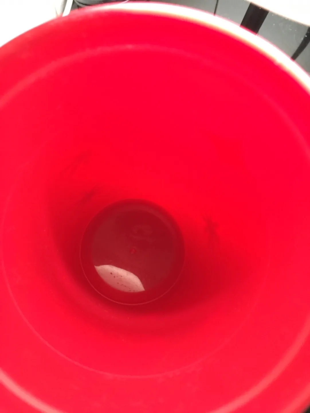 Starbucks 25 Years Holiday Cup Cheer - 16 fl oz image indicator(5)