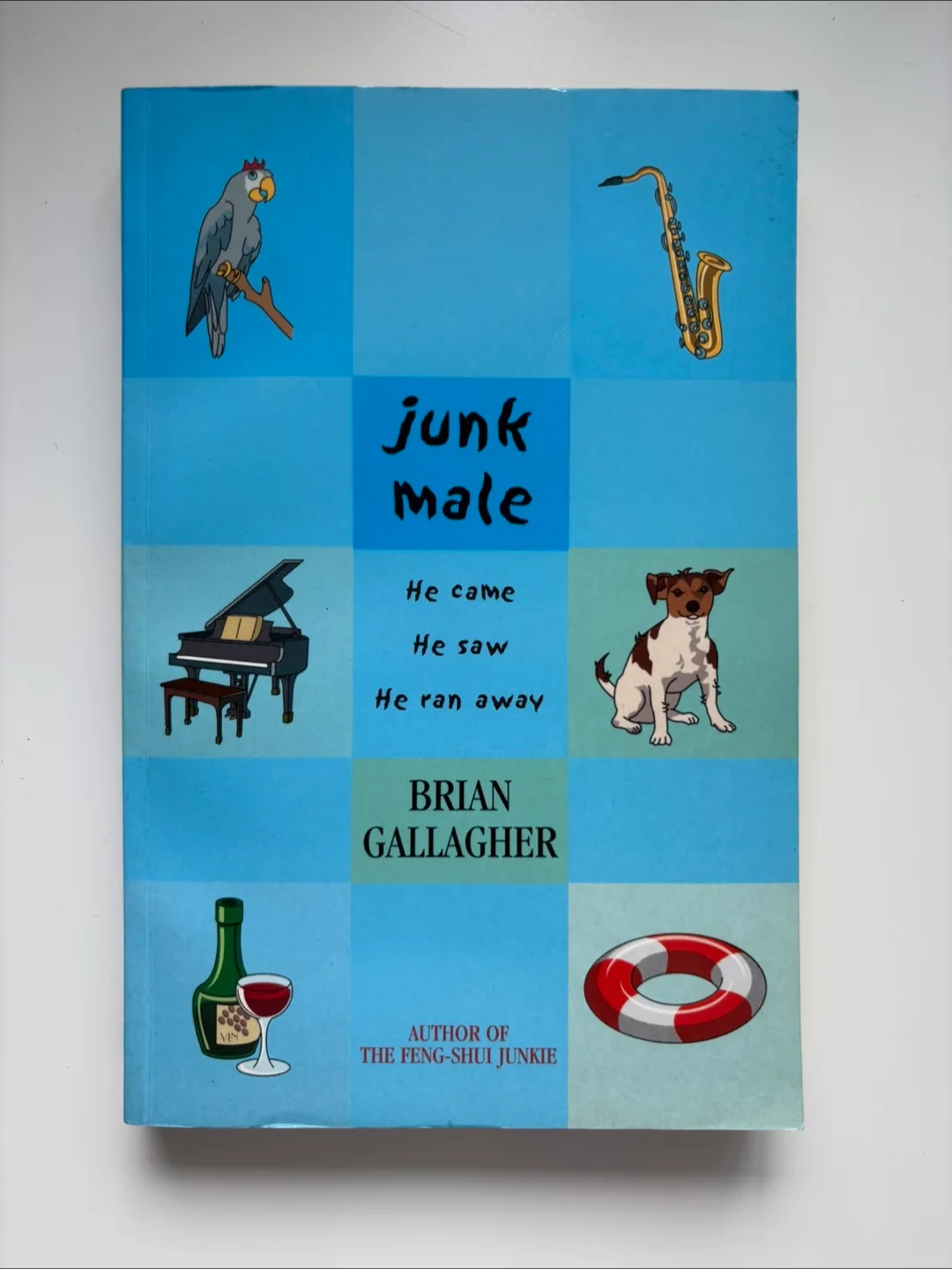 Junk Male by Brian Gallagher thumbnail