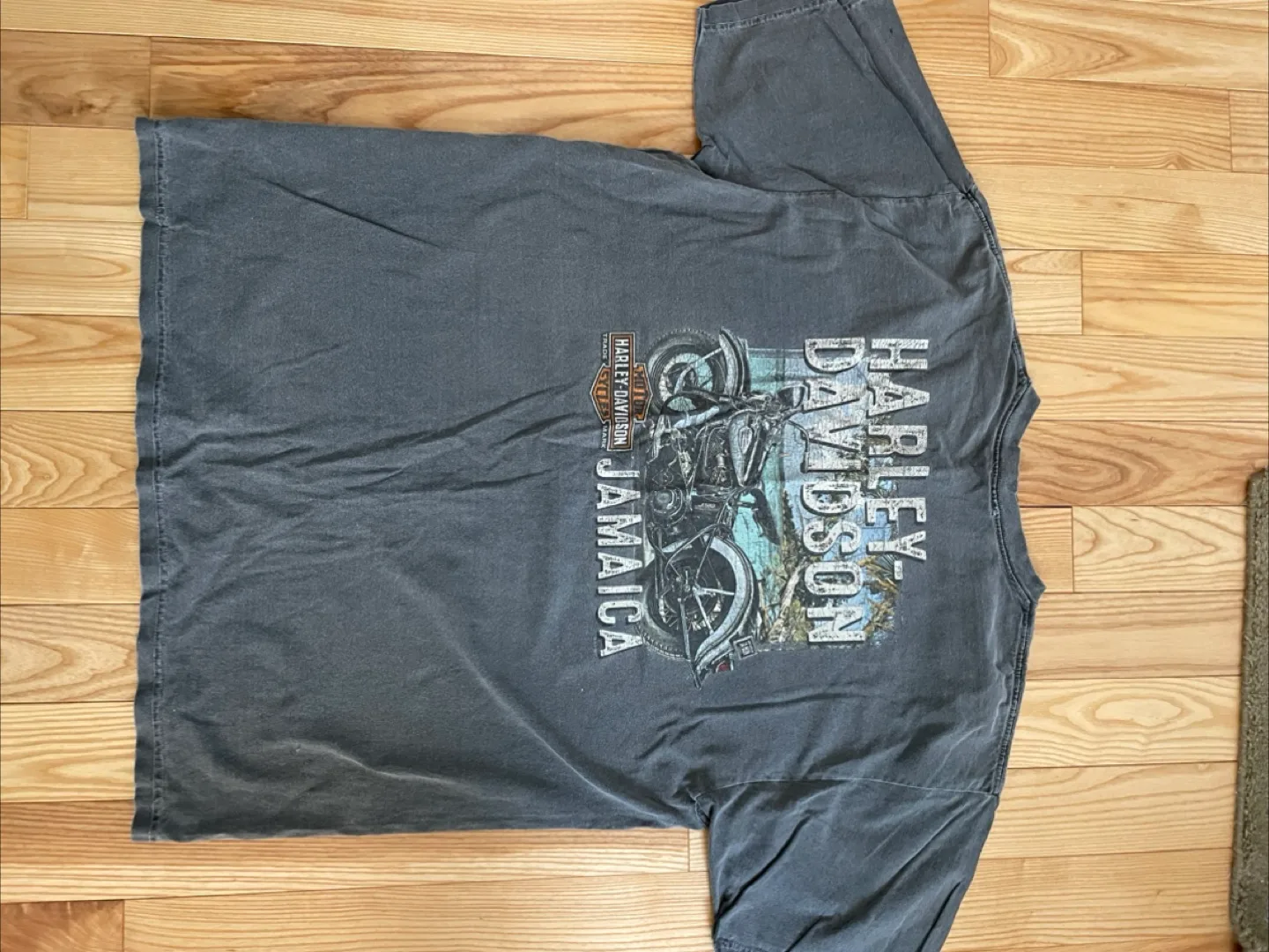 Harley Davidson Jamaica Graphic T-Shirt image indicator(2)