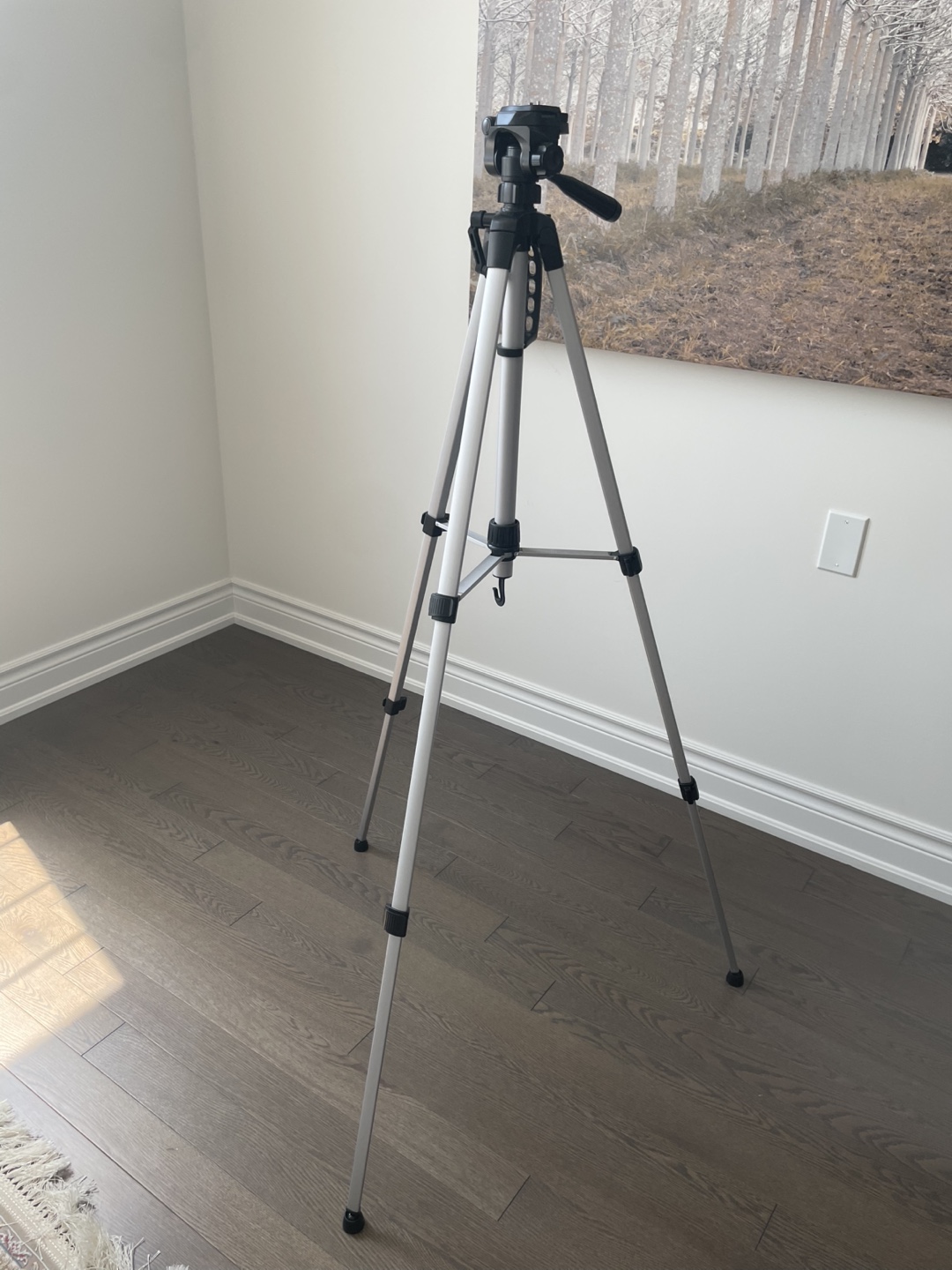 Camera Tripod