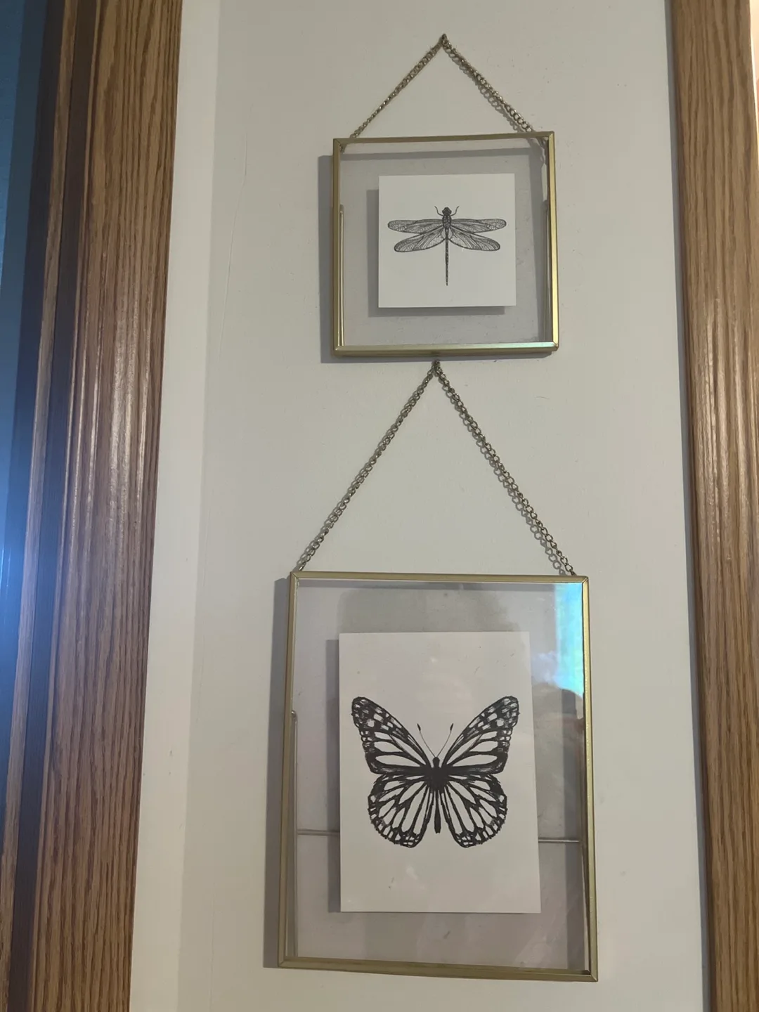 Butterfly & Dragonfly Framed Art thumbnail