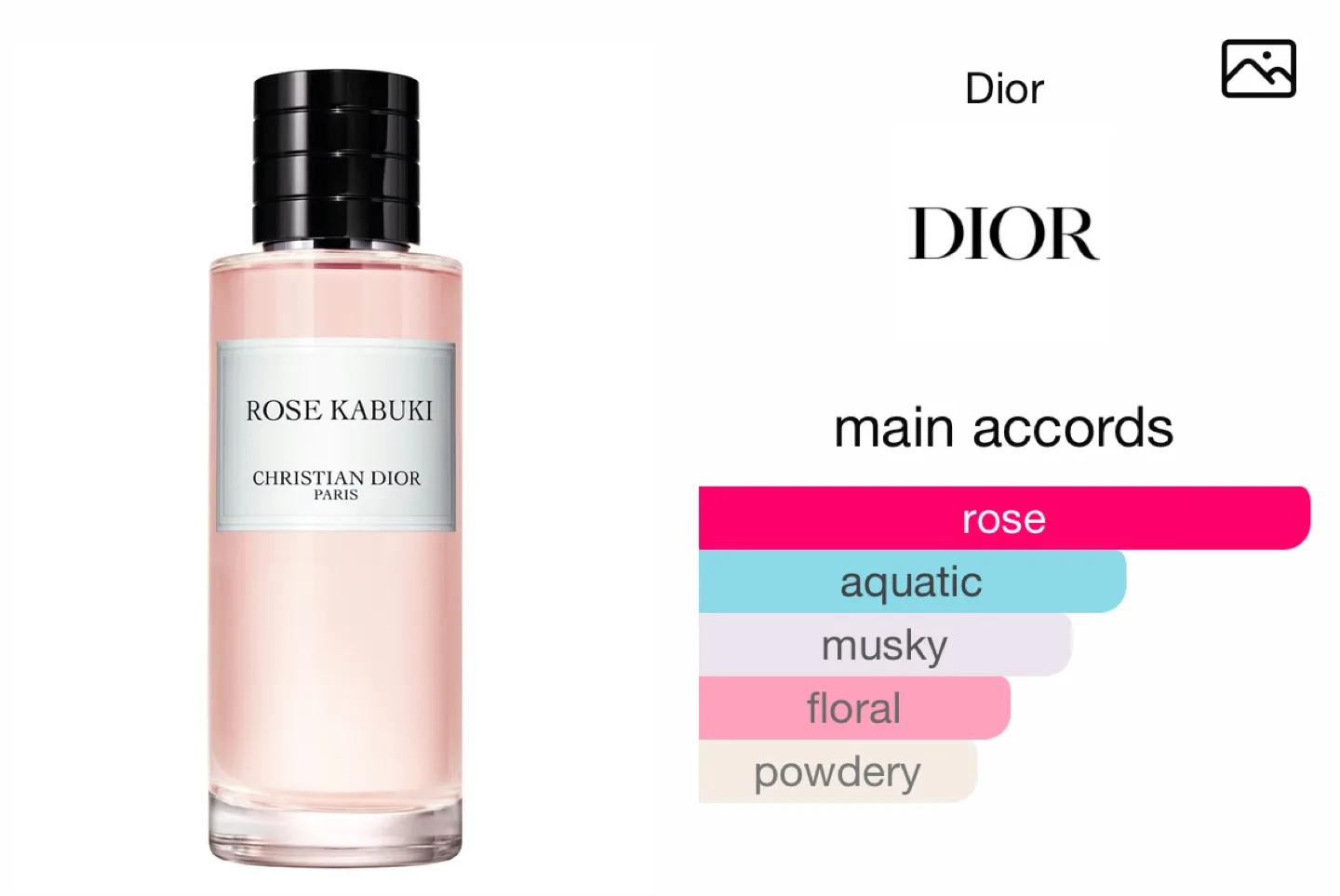 Dior Rose Kabuki Eau de Parfum 250ml image indicator(5)