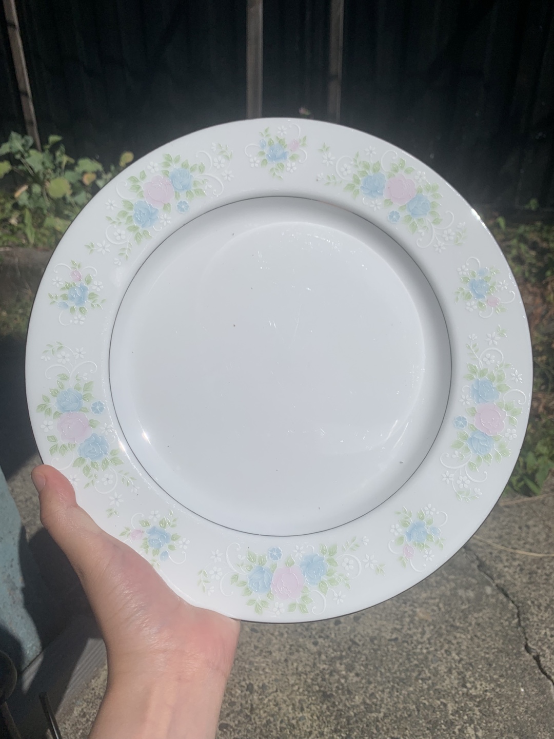 Set of 6 Vintage Plates - photo 2