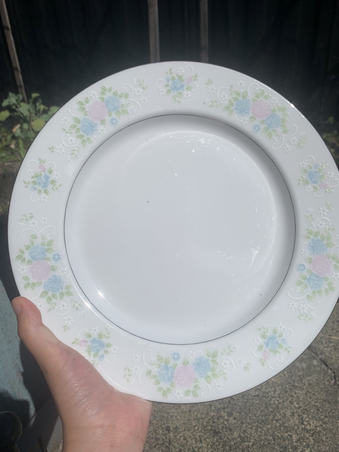 Set of 6 Vintage Plates