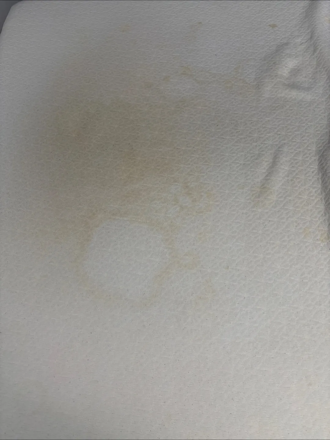 Only Mattress- Zinus Full size 10 inch Mattress- memory foam image indicator(2)