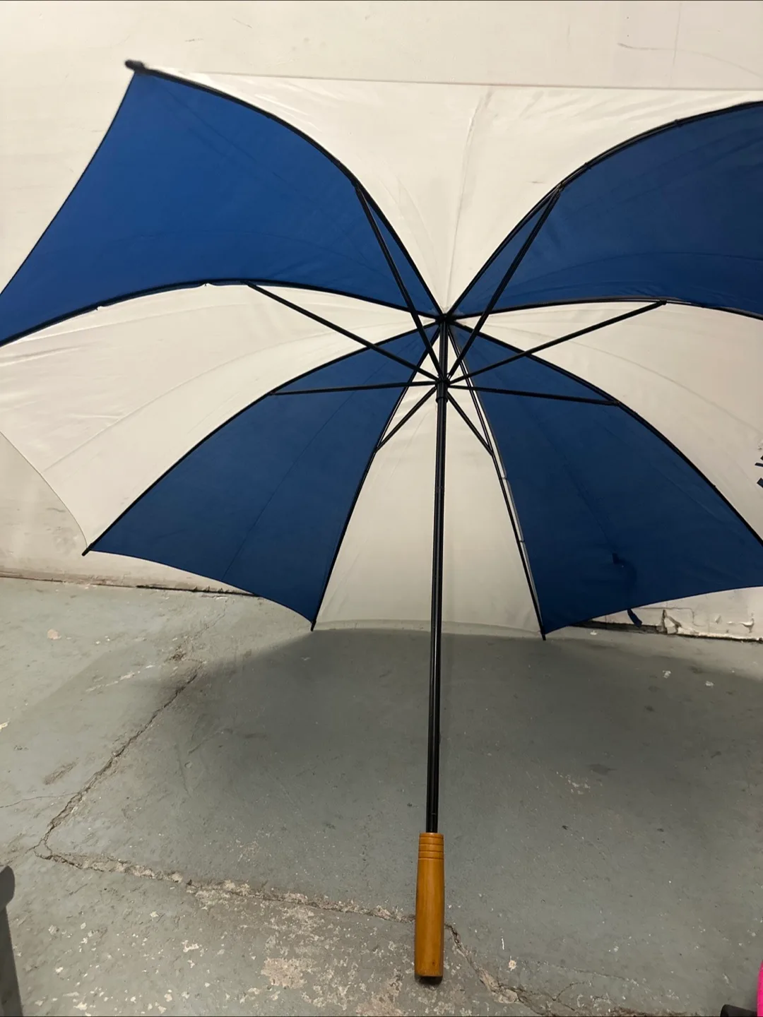 Blue & White Umbrella thumbnail