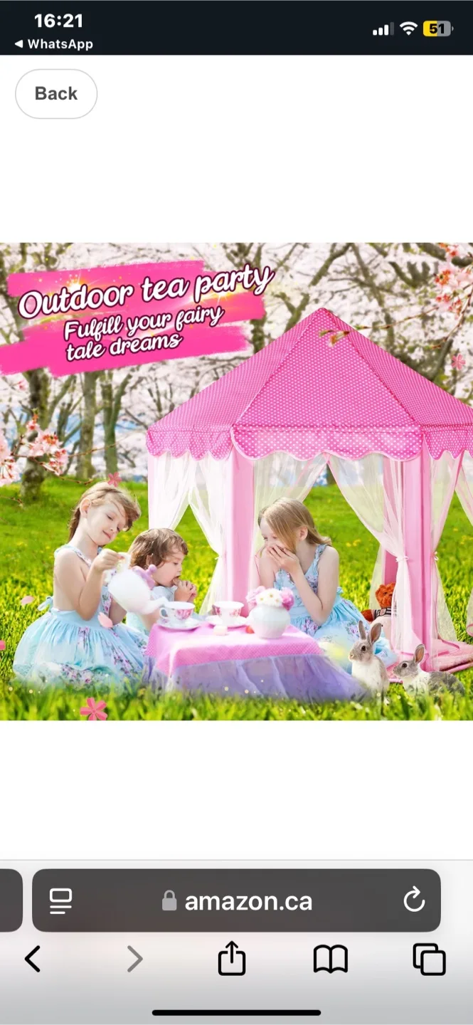 Pink Princess Castle Play Tent with Lights & Carpet image indicator(3)