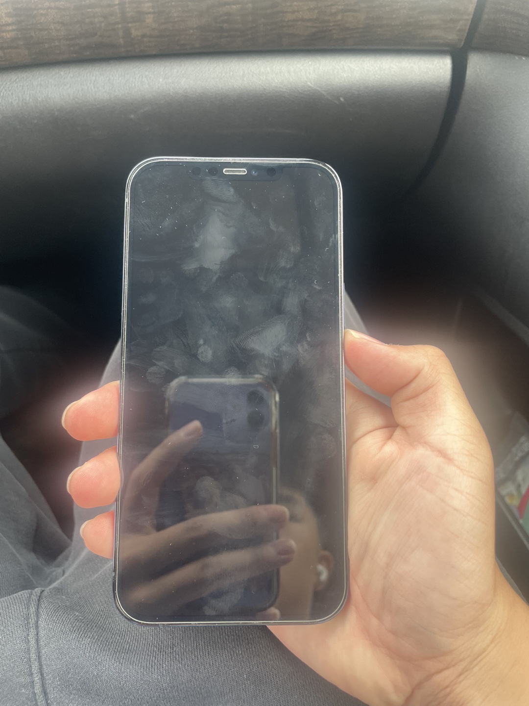 iPhone 12 Pro Max - Blue