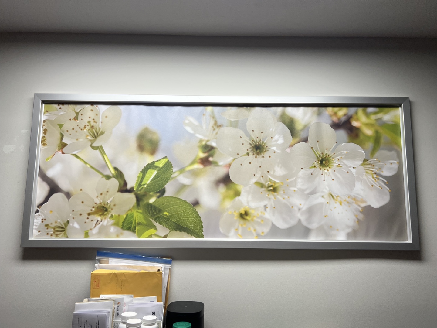Framed Cherry Blossom Wall Art – Clean & Ready to Hang