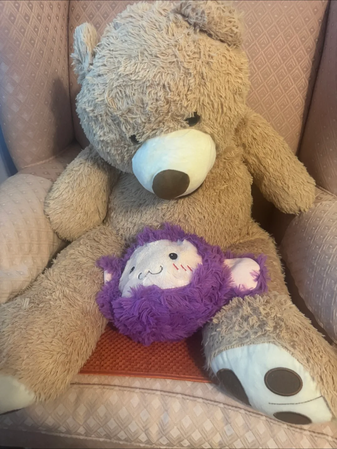 Teddies image indicator(3)