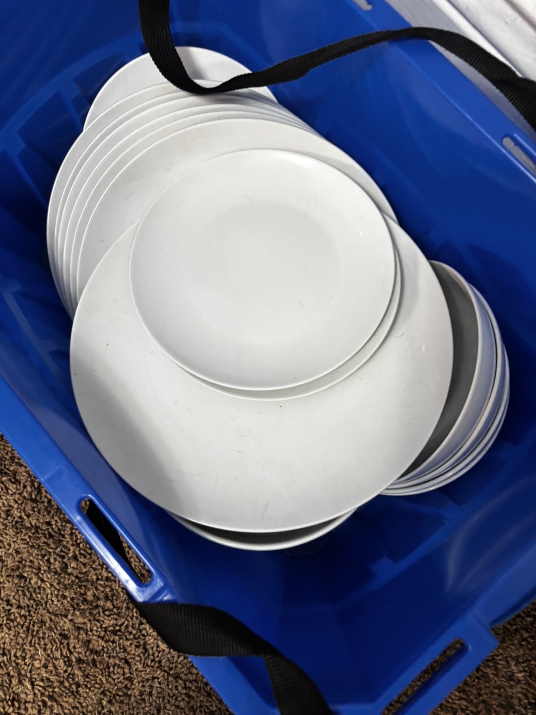 Plates and bowls