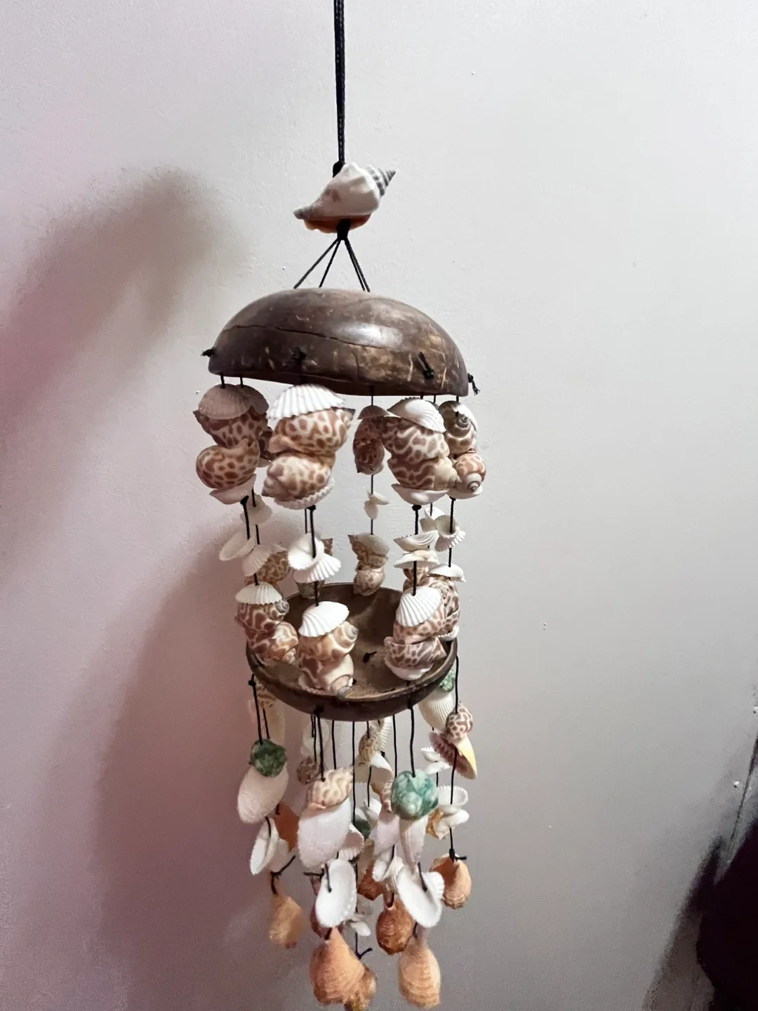 Seashell Mobile Wind Chime image indicator(2)