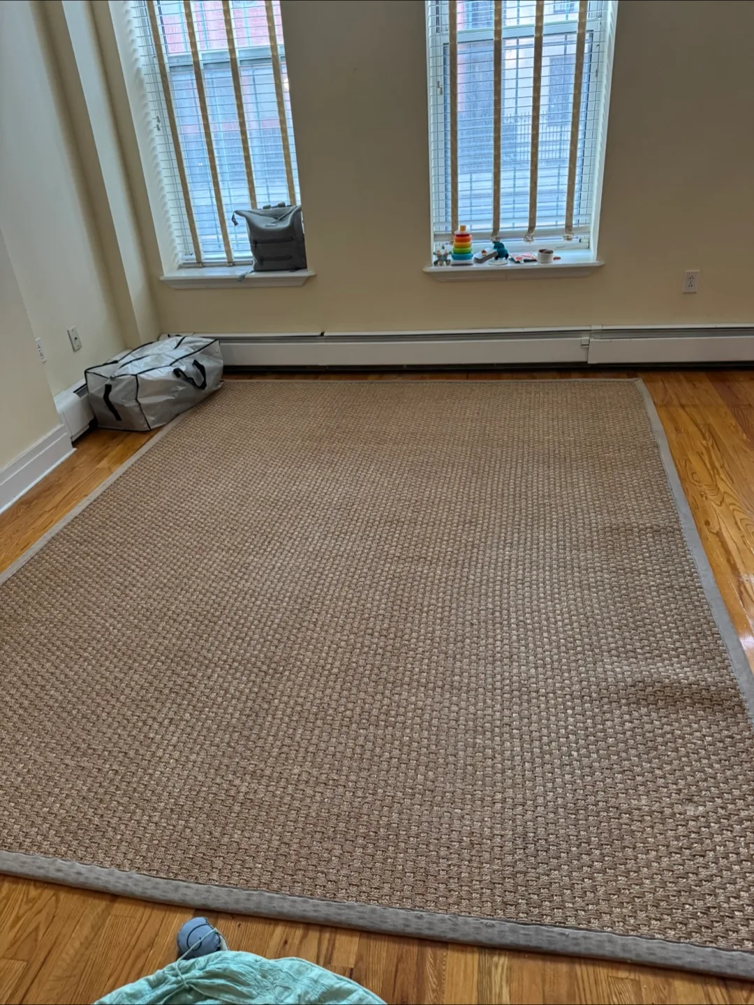 FREE Neutral Jute area rug (6x9) thumbnail