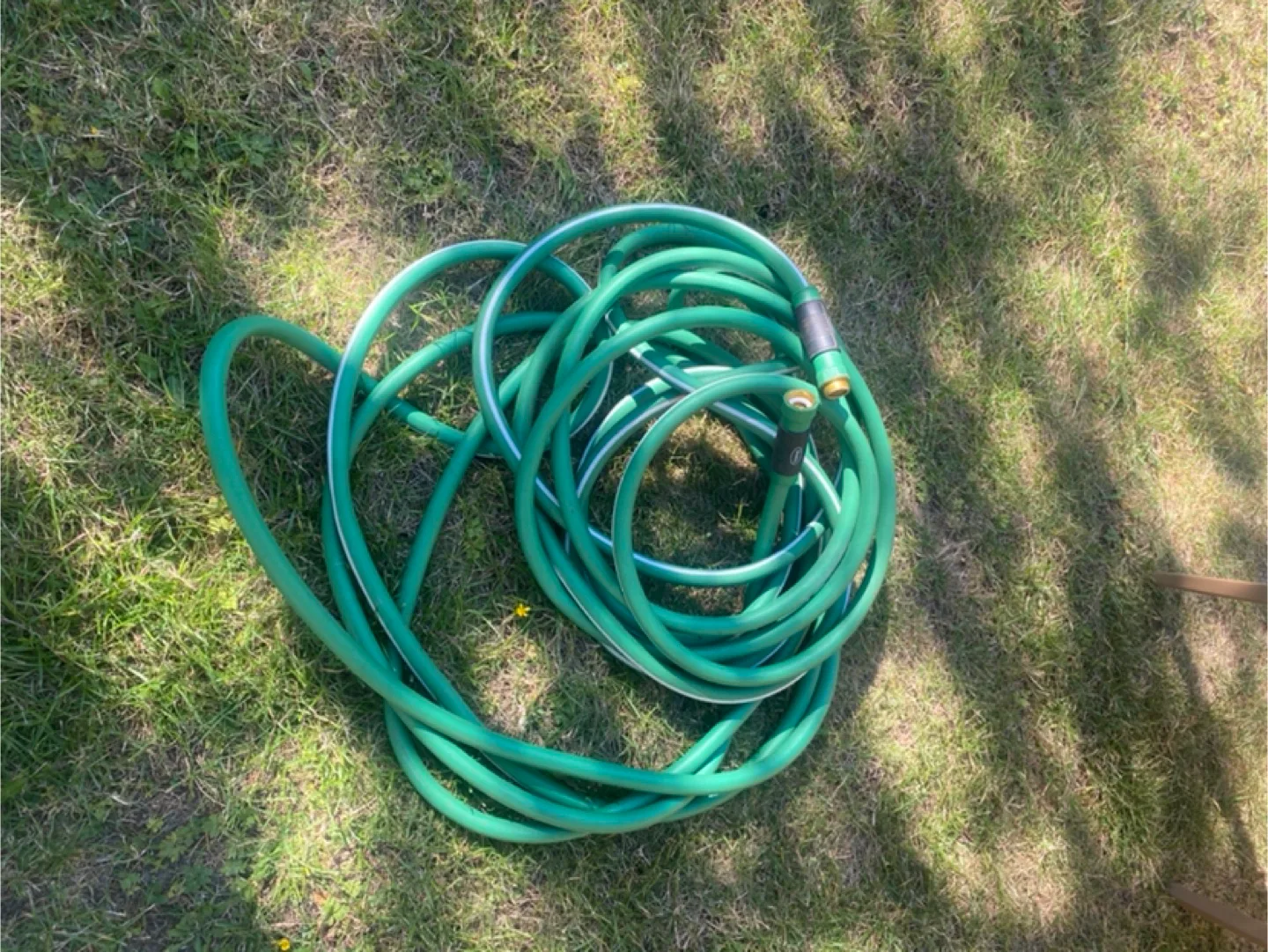 Green Garden Hose thumbnail