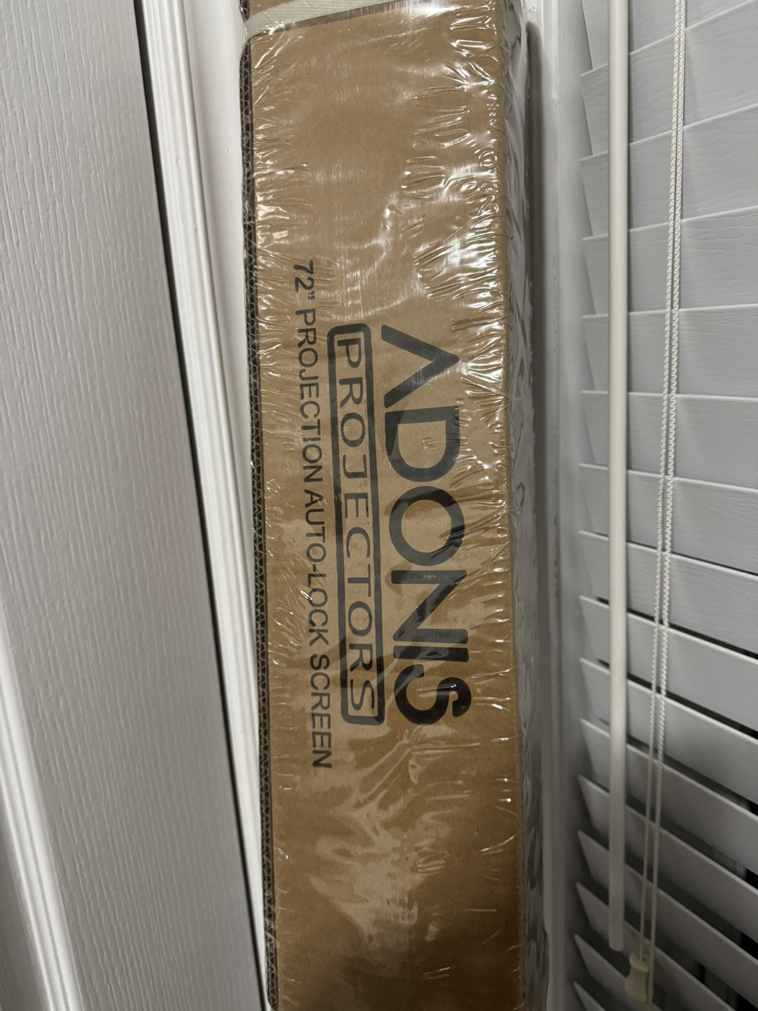 Adonis Projector & 72" Auto-Lock Screen - Like New! - photo 4